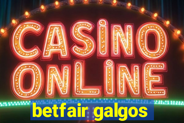 betfair galgos